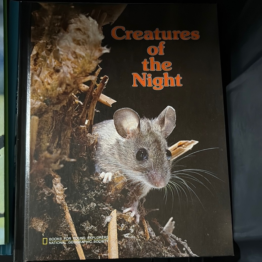 National Geographic Creatures of the Night Book - Brown and Gray